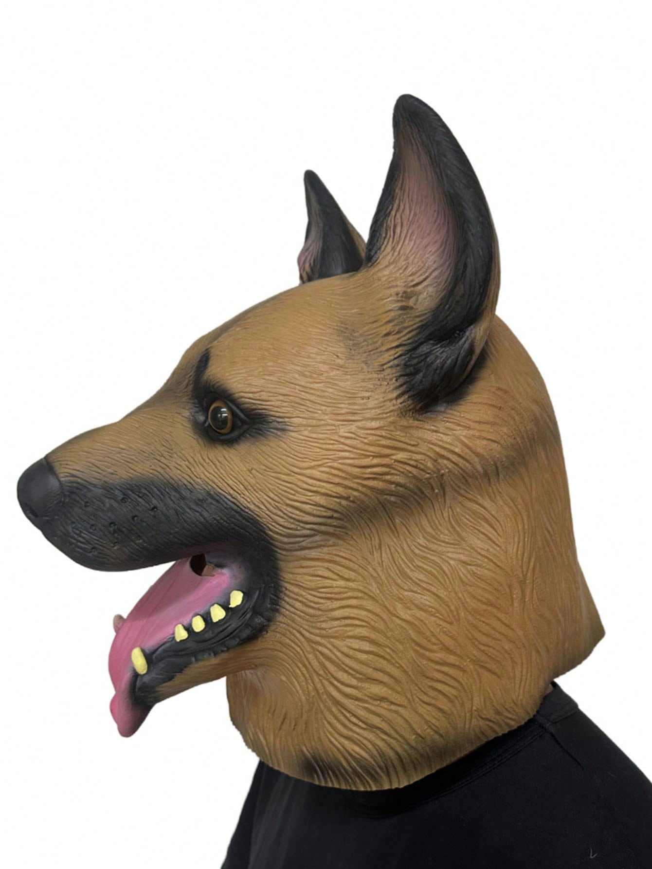 https://img.ltwebstatic.com/images3_spmp/2024/09/23/1a/1727021922ec0b5e622788b92fd367680dc8f2e474.jpg