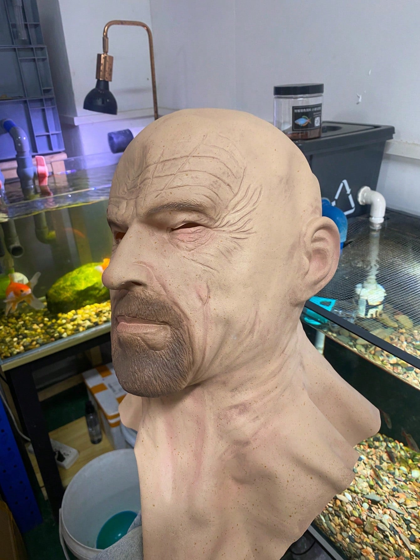 https://img.ltwebstatic.com/v4/p/spmp/2025/06/16/2e/1750041892648ee005e65118eb791980fb7e57c0cf.jpg