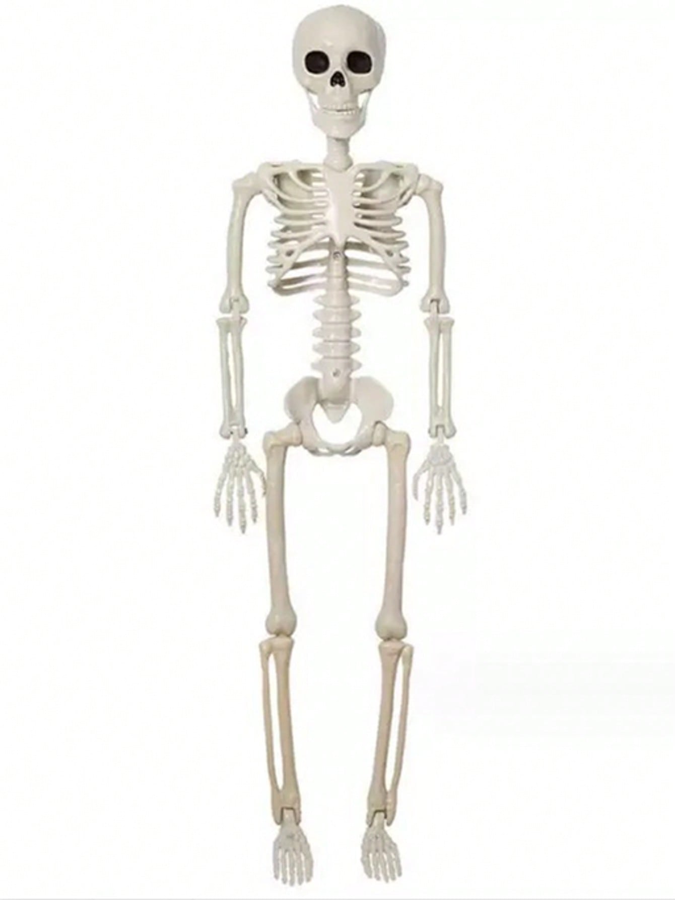 https://img.ltwebstatic.com/v4/j/spmp/2025/08/02/be/17541071113da77525618110f9e88e70c7d95b4a67.jpg